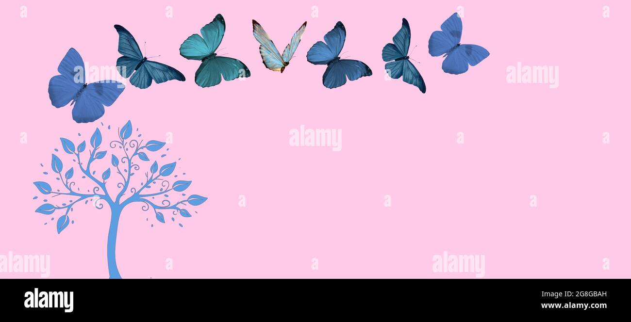 Butterfly Backgrounds For Facebook