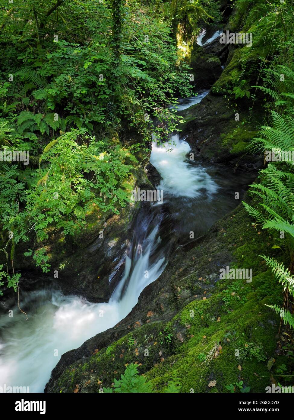 Dramatic cascading river and rocks, Lydford Gorge, Dartmoor National Park, Devon Stock Photo