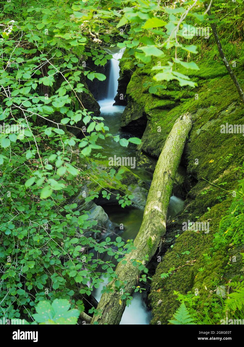 Dramatic cascading river and rocks, Lydford Gorge, Dartmoor National Park, Devon Stock Photo