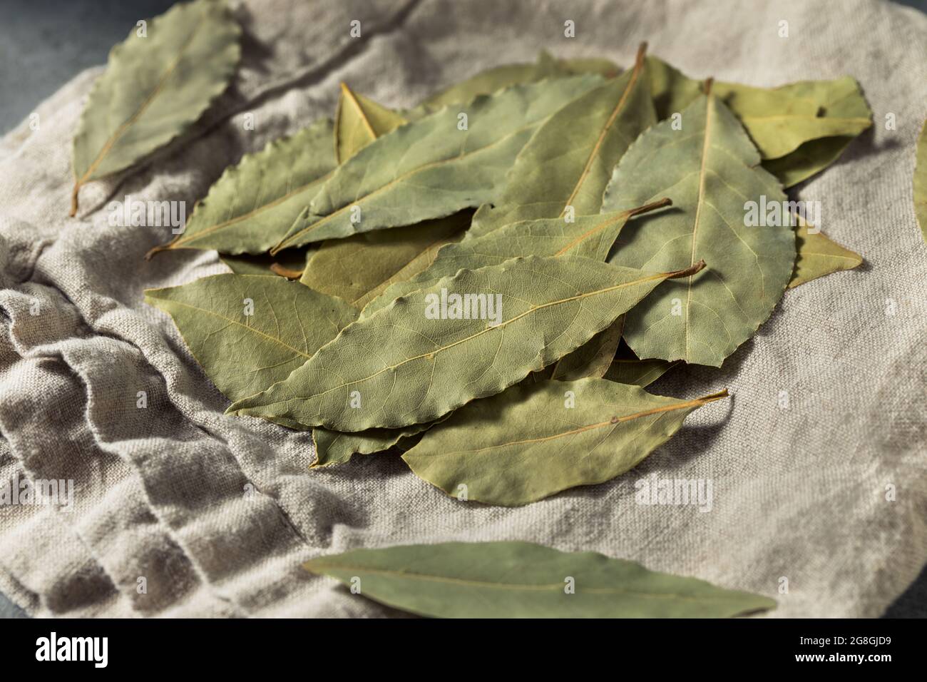 Healthy Organic Raw Bay Leaves in a Bunch Stock Photo Alamy