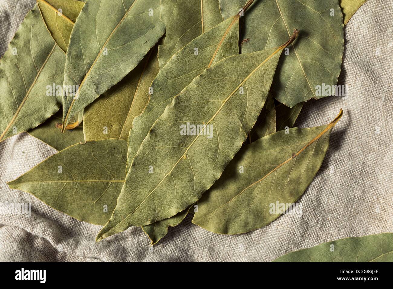 Healthy Organic Raw Bay Leaves in a Bunch Stock Photo Alamy