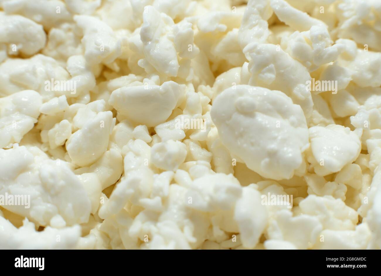 Cottage cheese. Grain curd. Milk products. Healthy and balanced food