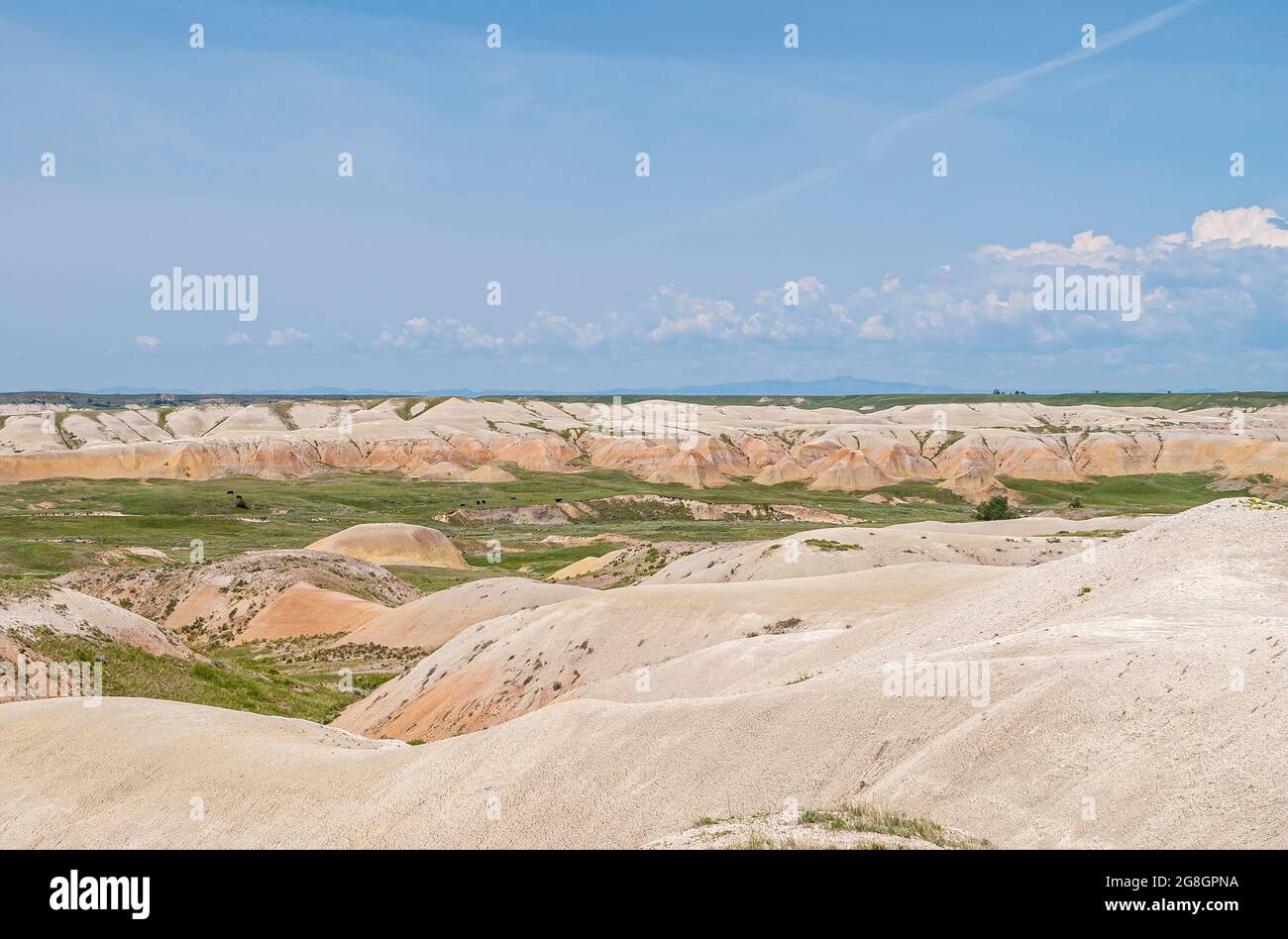 Badlands National Park, SD, USA - June 1, 2008: Wide landscape with only few green patches among beige and white geologic deposist galore under blue c Stock Photo