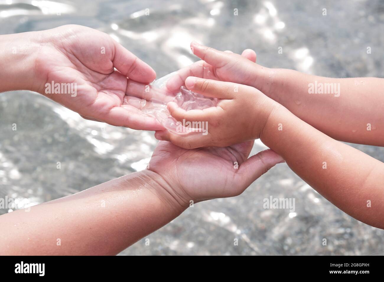 child-s-hands-giving-carefully-into-hand-of-mother-small-transparent