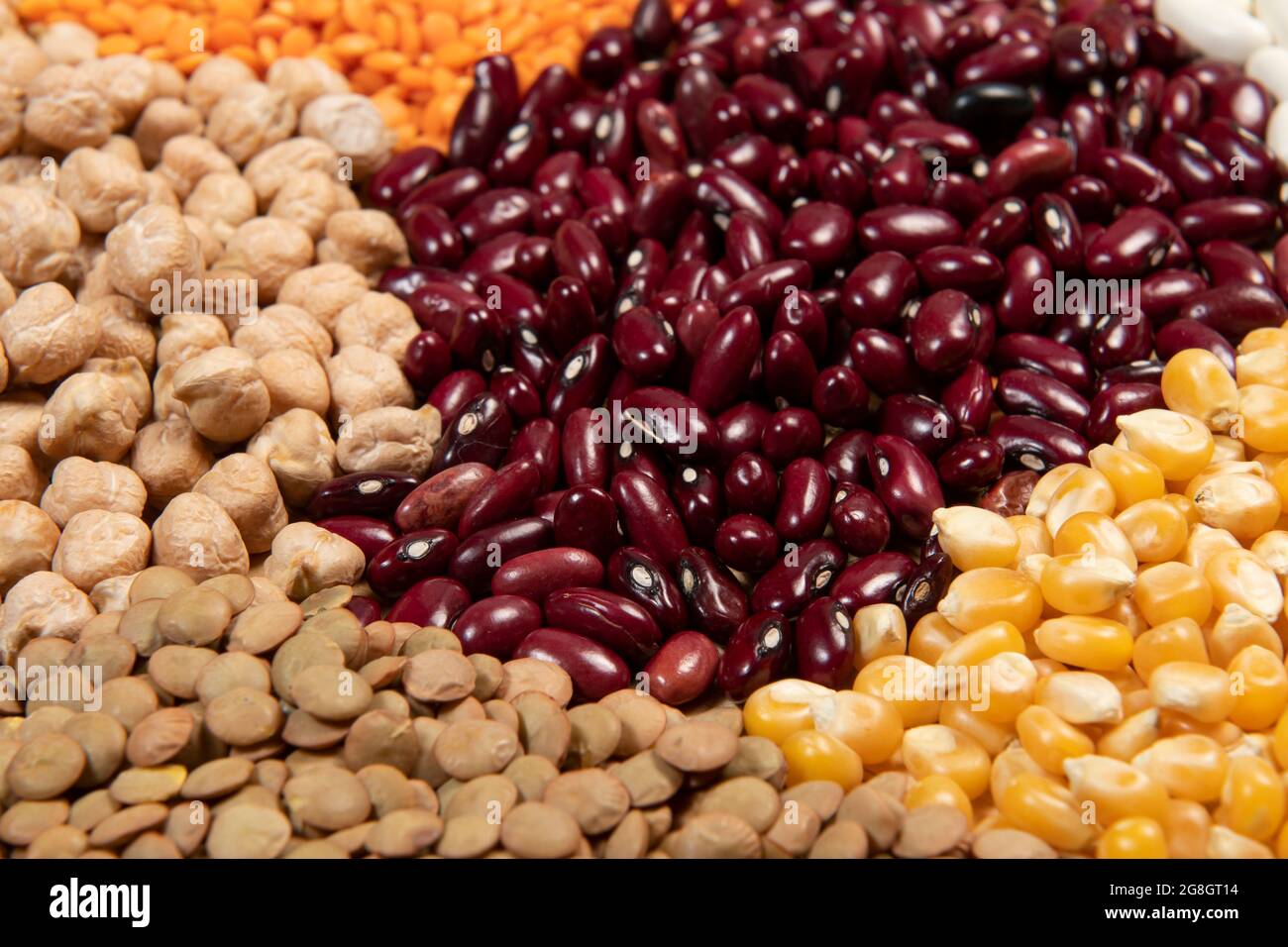 Servings of different varieties of cereals and dry edible seeds