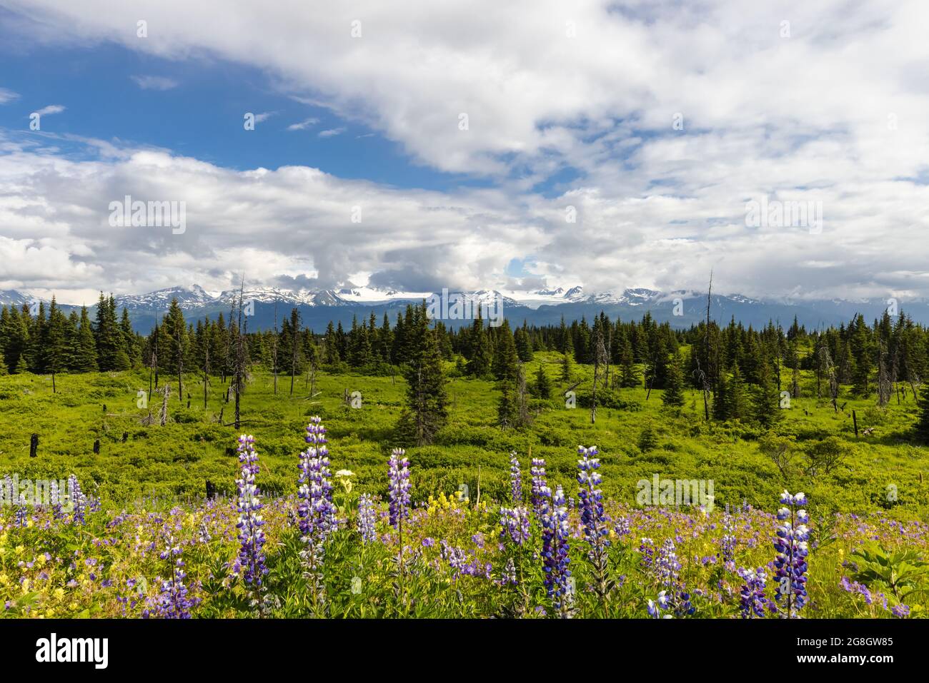 Portlock alaska hires stock photography and images Alamy
