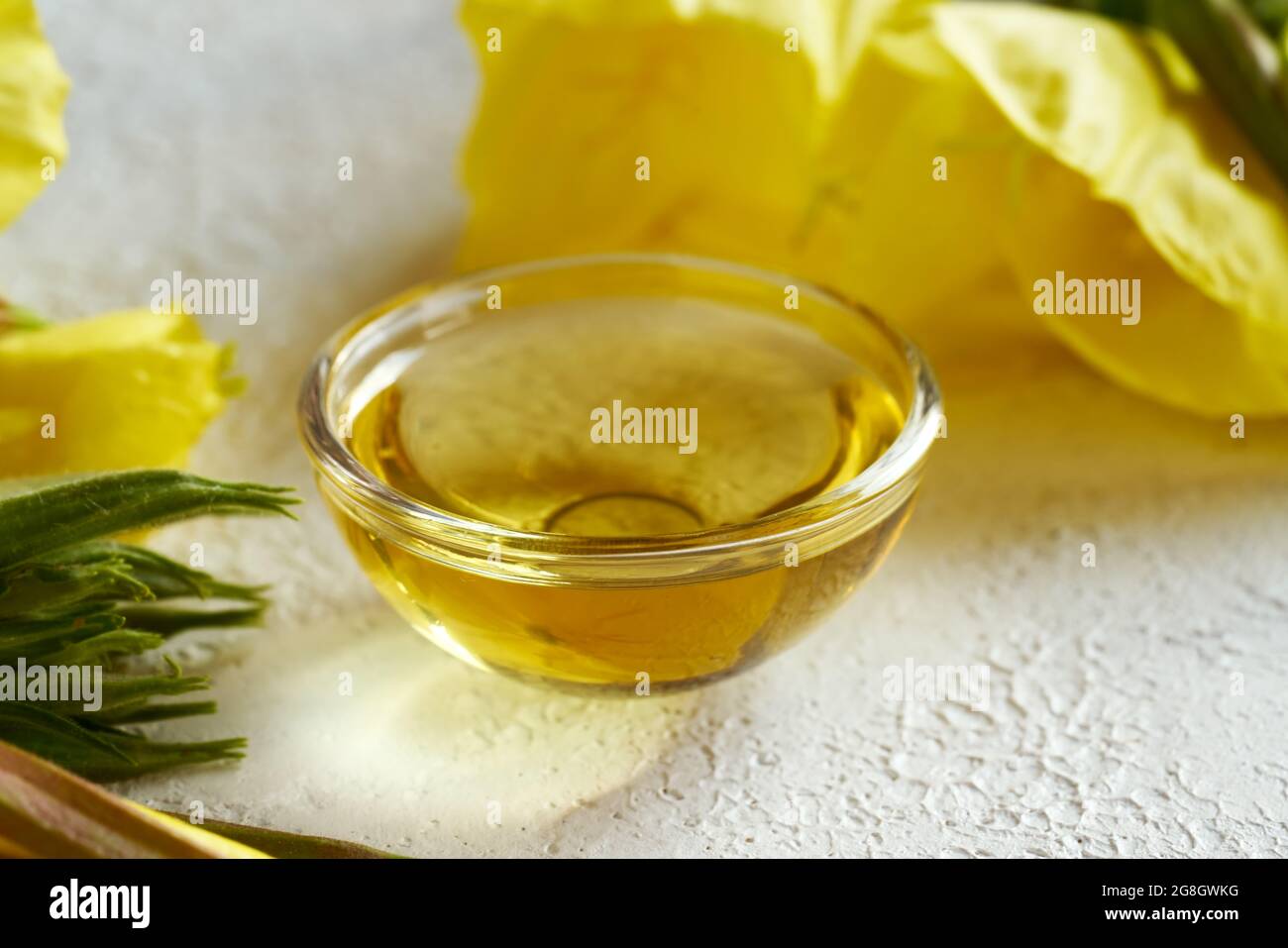 A bowl of evening primrose oil with fresh blooming plant on a bright background - natural herbal remedy Stock Photo