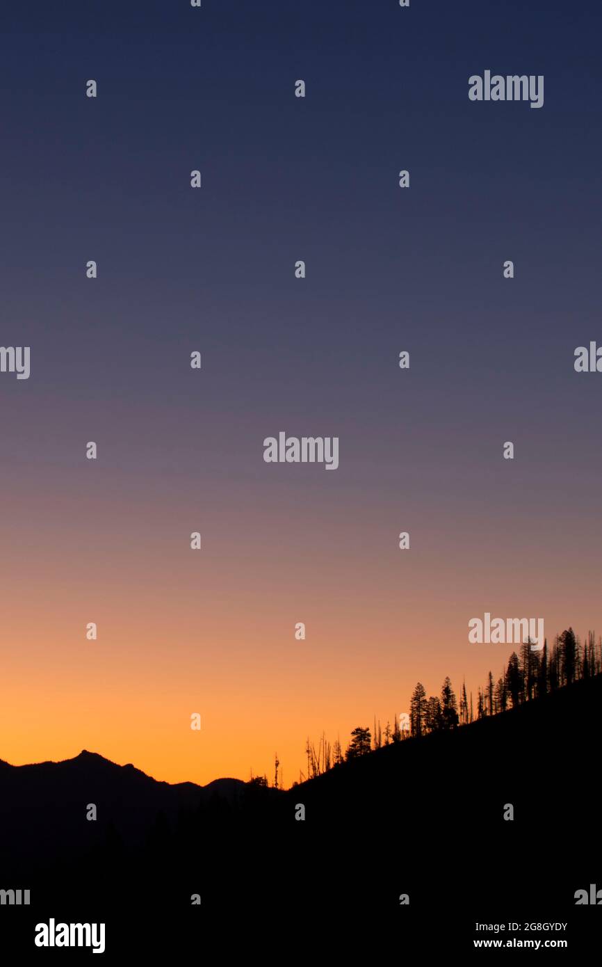 Dawn from Mores Creek Summit, Ponderosa Pine Scenic Byway, Boise