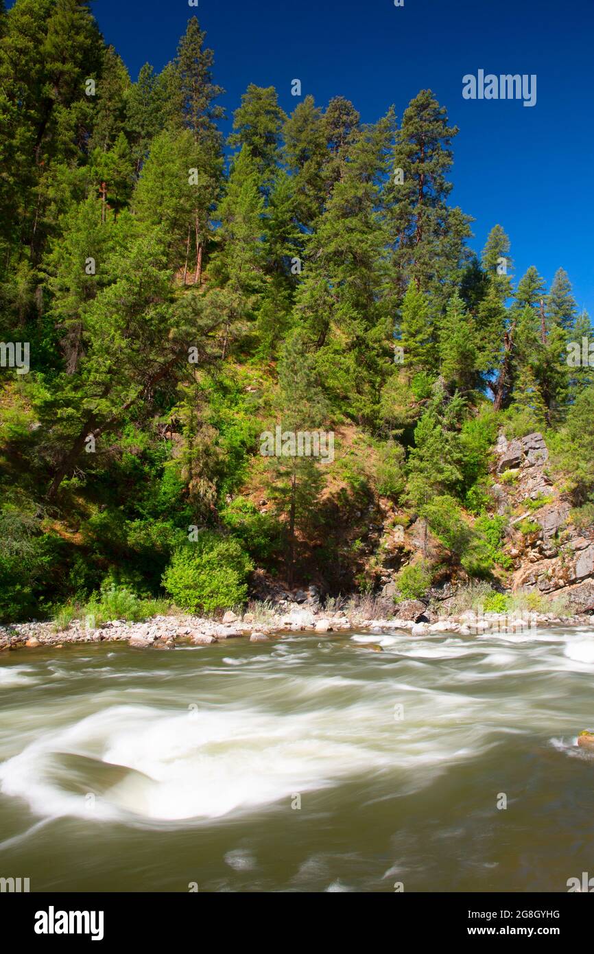 South Fork Payette River, Wildlife Canyon Scenic Byway, Boise National Forest, Idaho Stock Photo