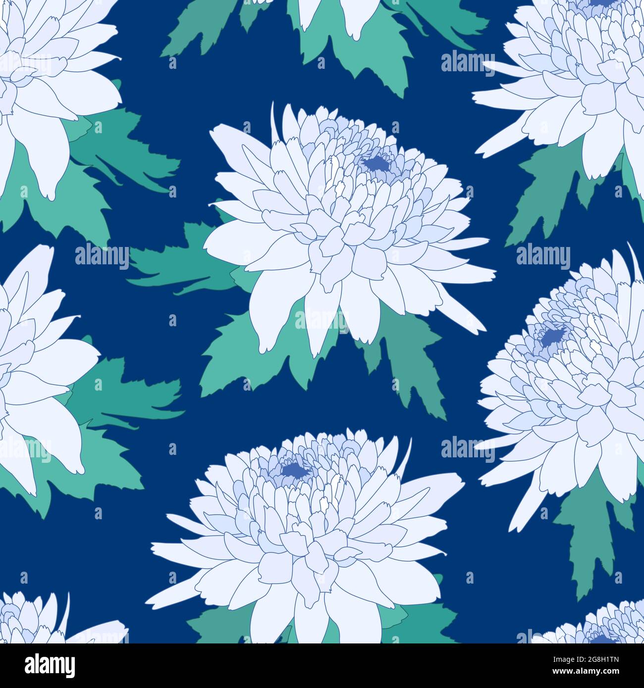 Blue marguerite daisy Stock Vector Images Alamy