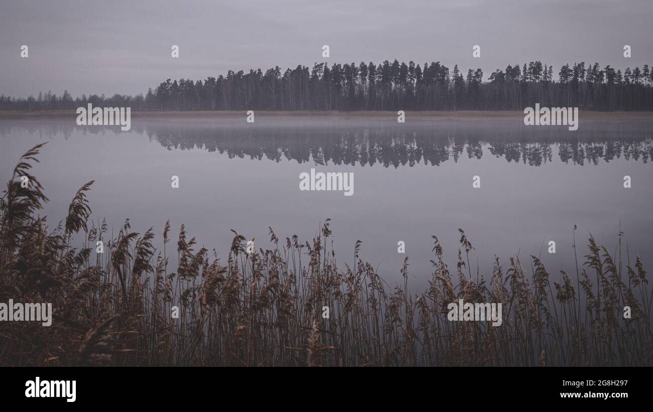 Silhouette symmetry hi-res stock photography and images - Alamy