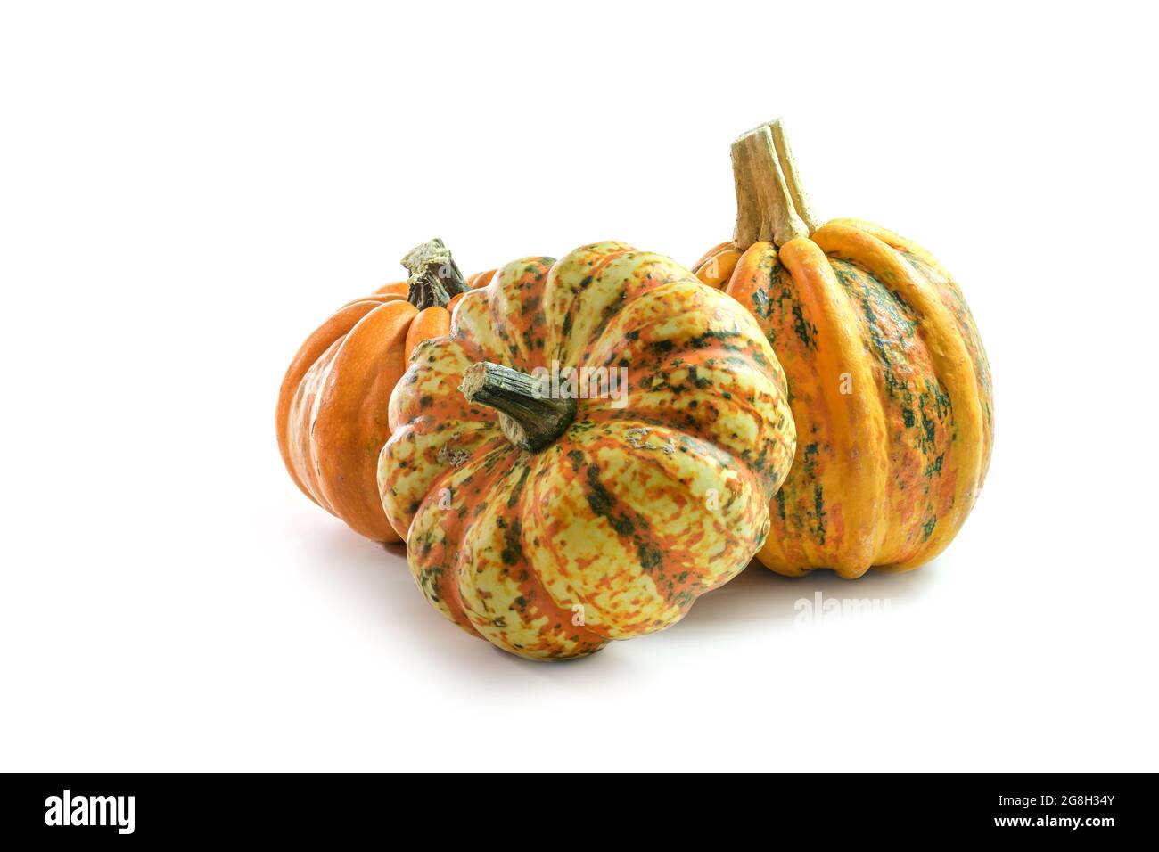 Three different food pumpkins or squashes for Halloween and Thanksgiving fresh from the market, isolated on a white background with copy space Stock Photo