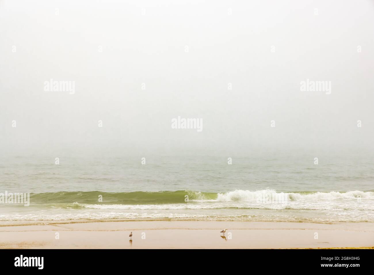 Atlantic beach amagansett hires stock photography and images Alamy