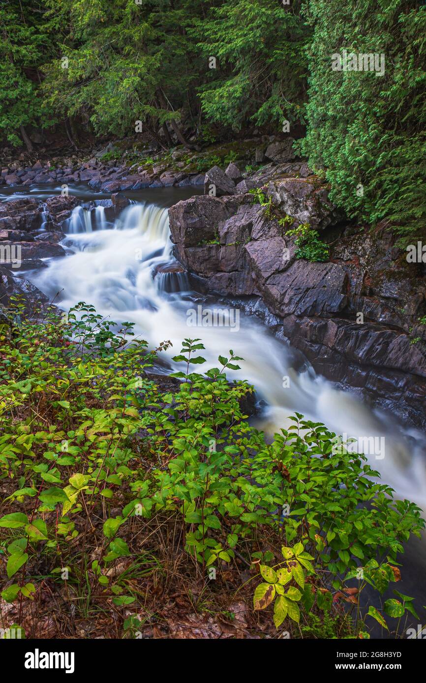 The Gut Conservation Area Apsley Ontario Canada Stock Photo Alamy