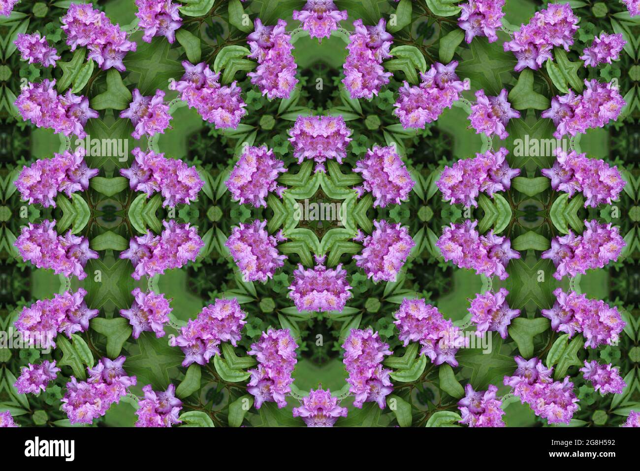 Kaleidoscope of flowers. Circles, flowers and hexagons abstract wallpaper and backdrops. Complex geometric flower patterns and digital art. Stock Photo