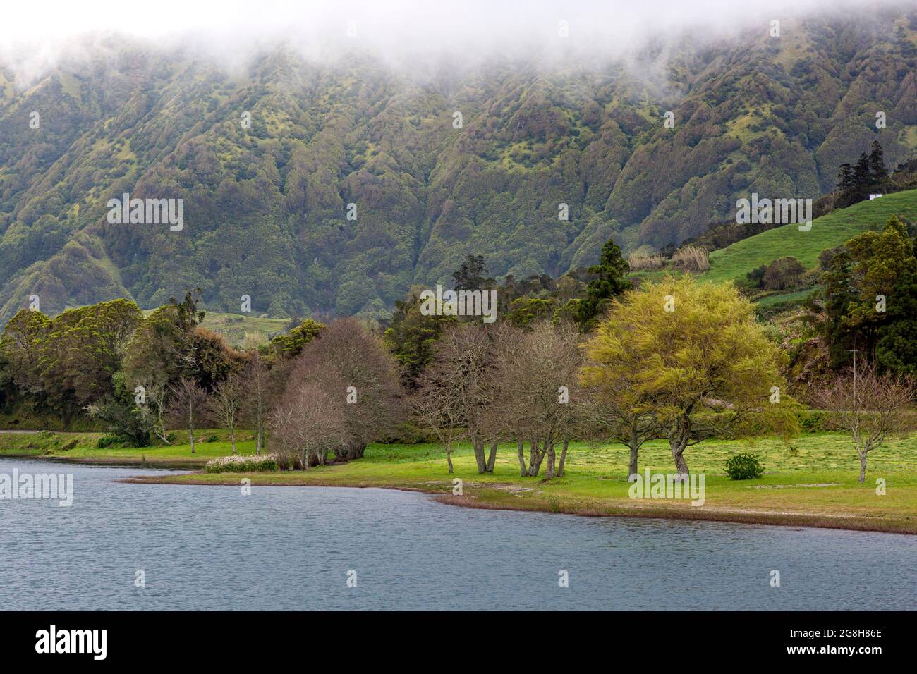 Misty morning over Lagoa Verde - one of the twin lakes near Sete Cidades on Sao Miguel Island, Azores, Portugal Stock Photo