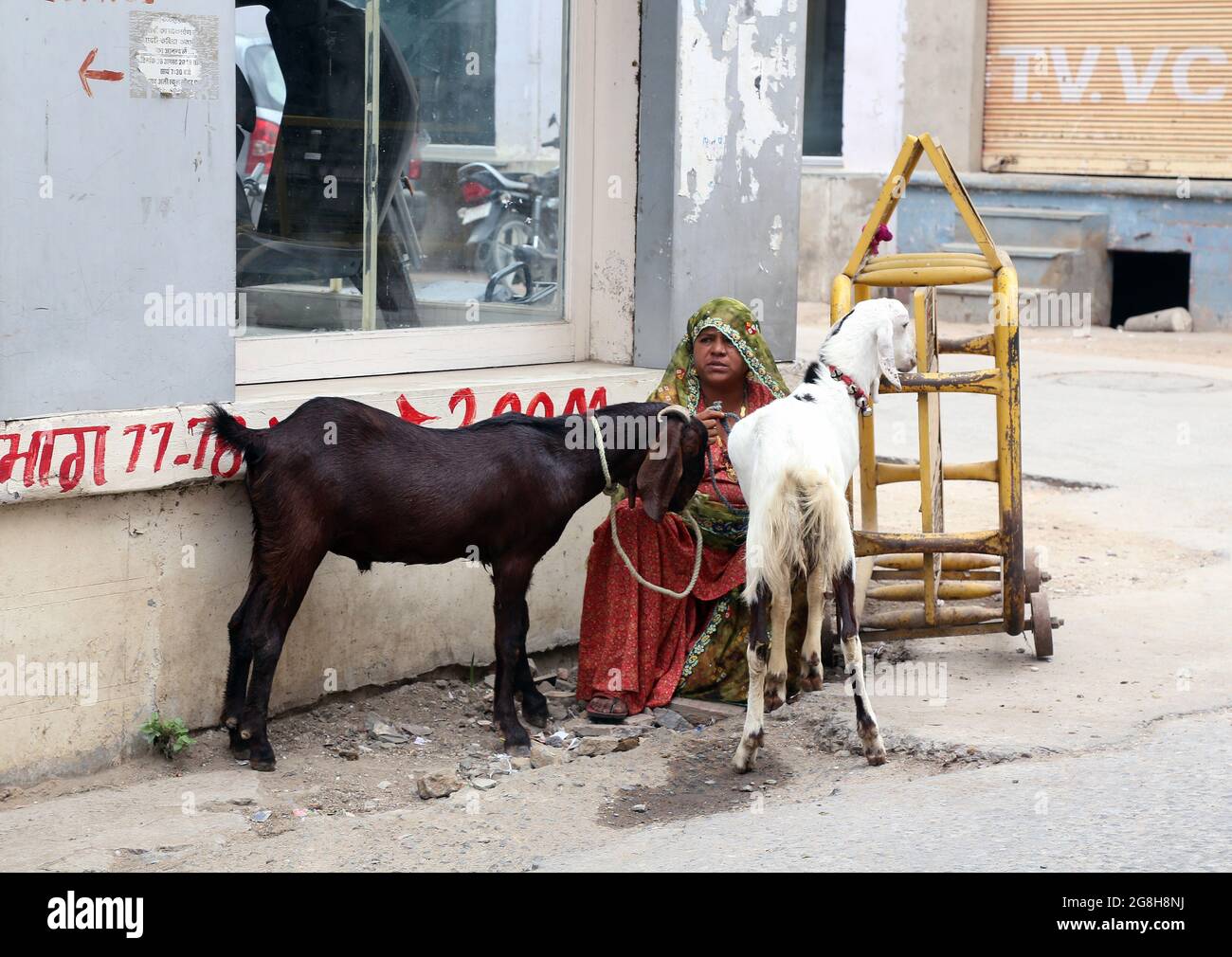 Beawar, India. 20th July, 2021. Livestock vendor wait for customers to sell their goats on the eve of Eid-al-Adha festival in Beawar. (Photo by Sumit Saraswat/Pacific Press) Credit: Pacific Press Media Production Corp./Alamy Live News Stock Photo