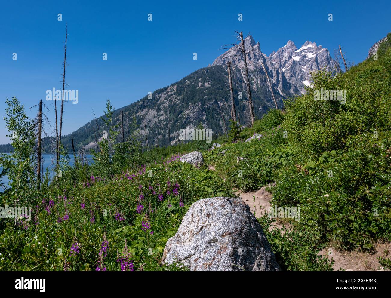 Jenny Lake Trail to Inspiration Point Stock Photo - Alamy
