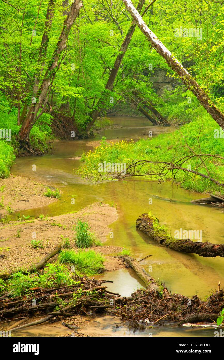 Bear Creek, Portland Arch Nature Preserve, Indiana Stock Photo Alamy