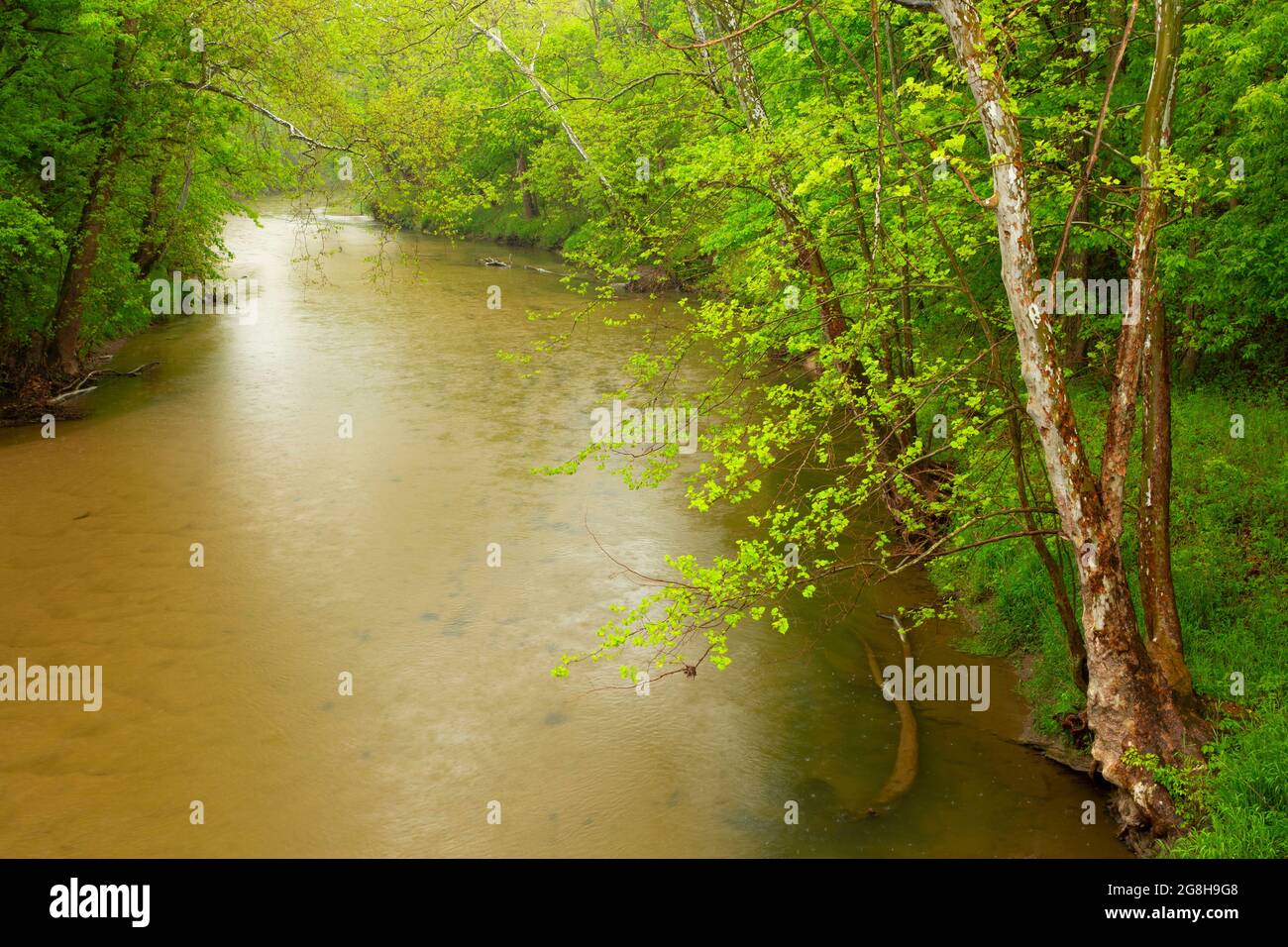 Coal creek hires stock photography and images Alamy