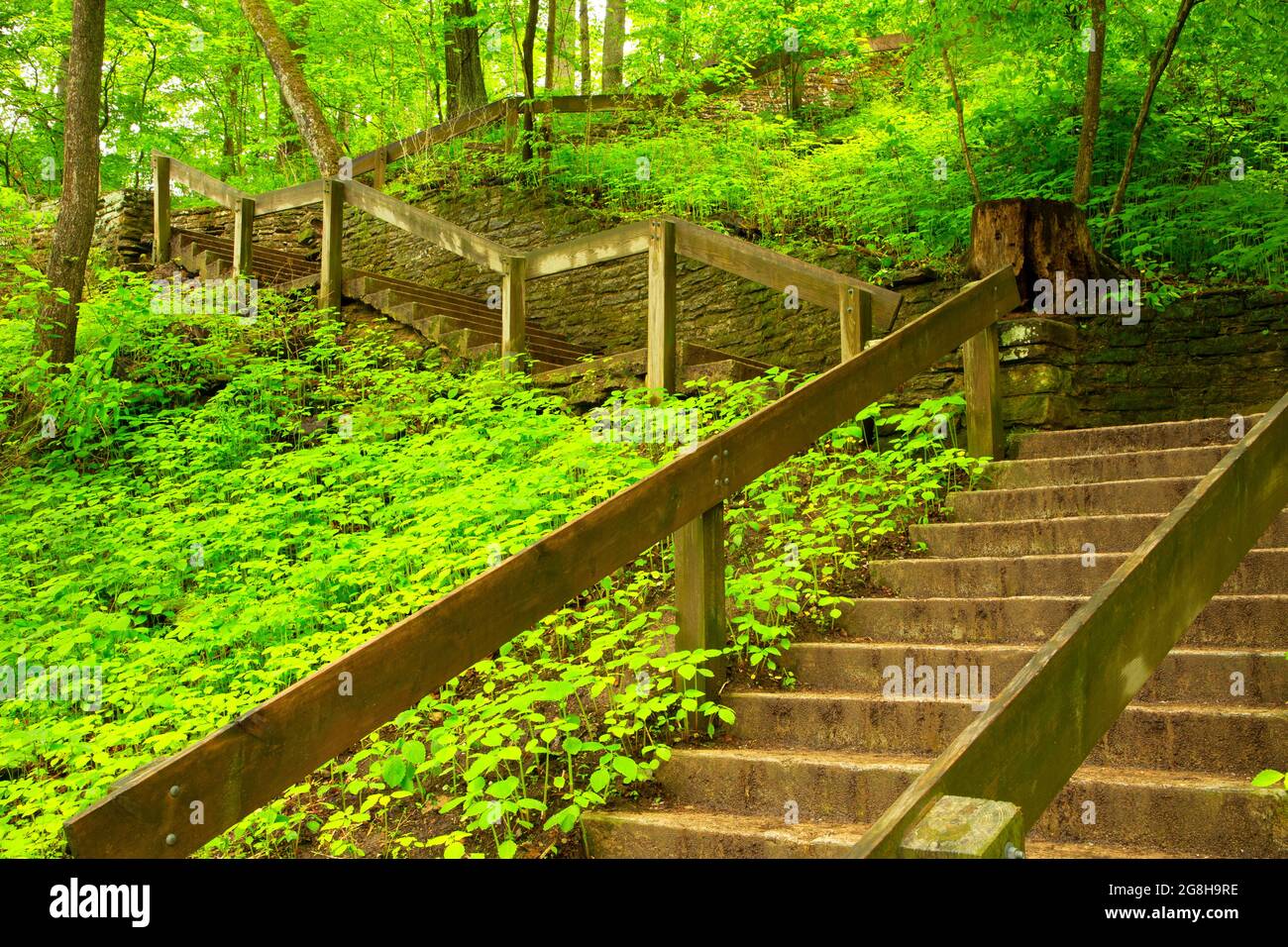 Hiking trail stairs, Turkey Run State Park, Indiana Stock Photo Alamy