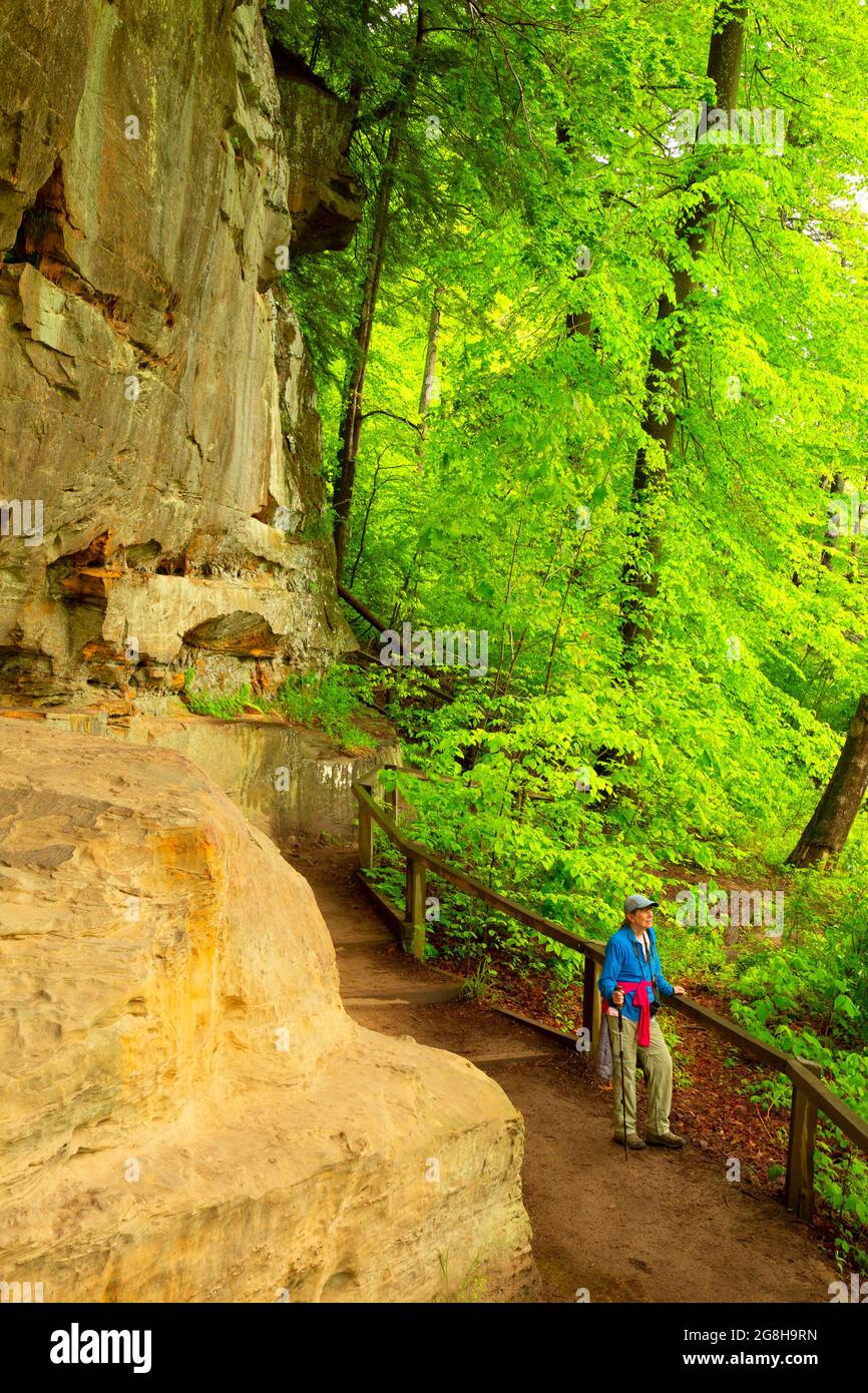 Hiking trail, Turkey Run State Park, Indiana Stock Photo Alamy
