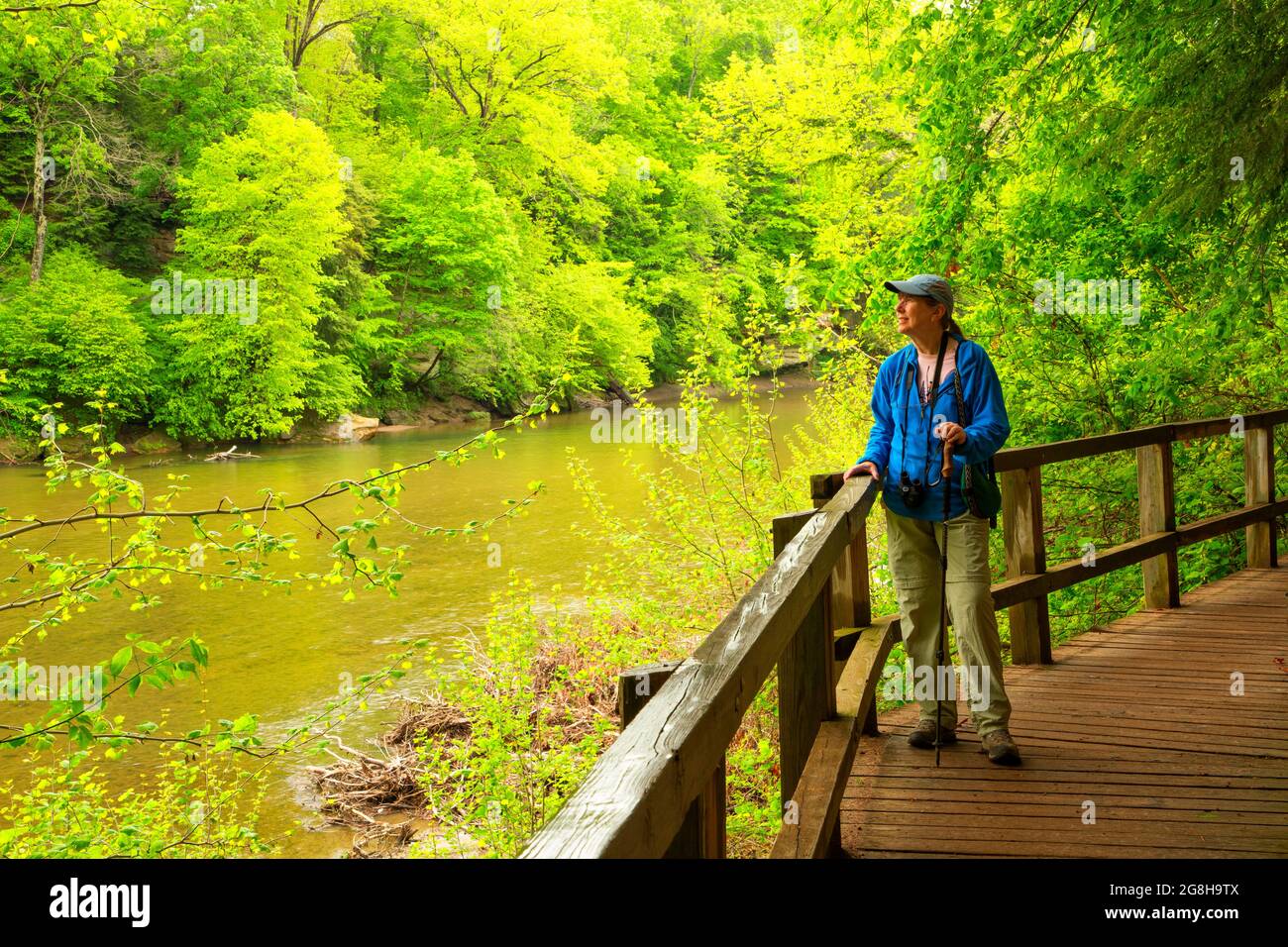 Hiking trail, Turkey Run State Park, Indiana Stock Photo Alamy