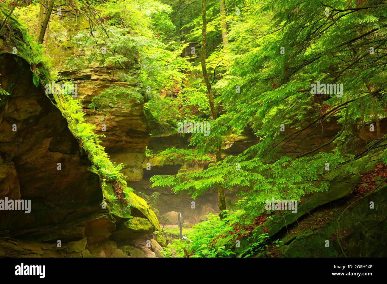 Rocky Hollow Canyon, Turkey Run State Park, Indiana Stock Photo - Alamy