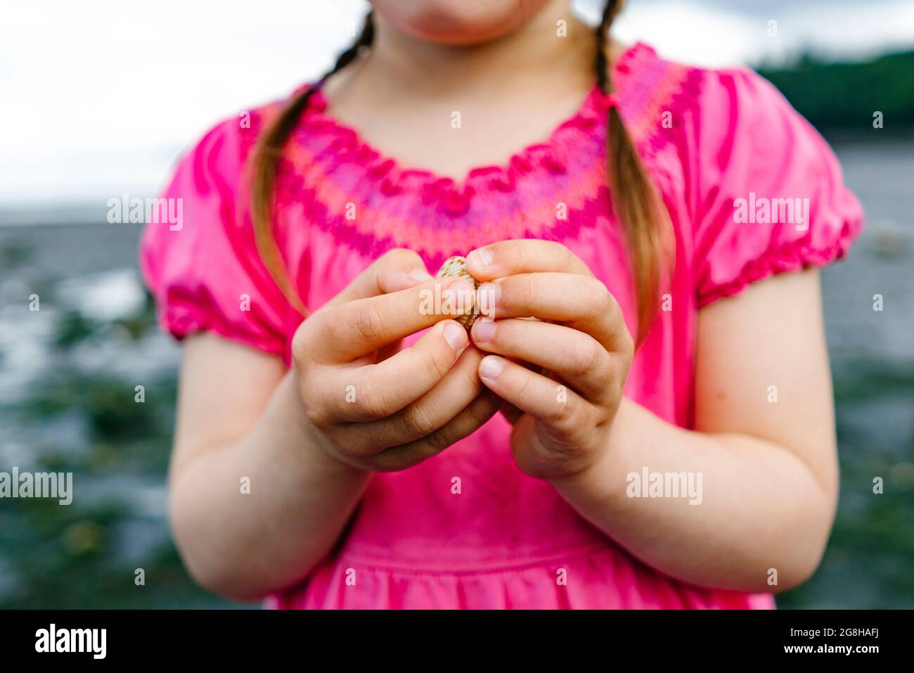 Cropped closeup of a young girl holding a small clam in her hands Stock