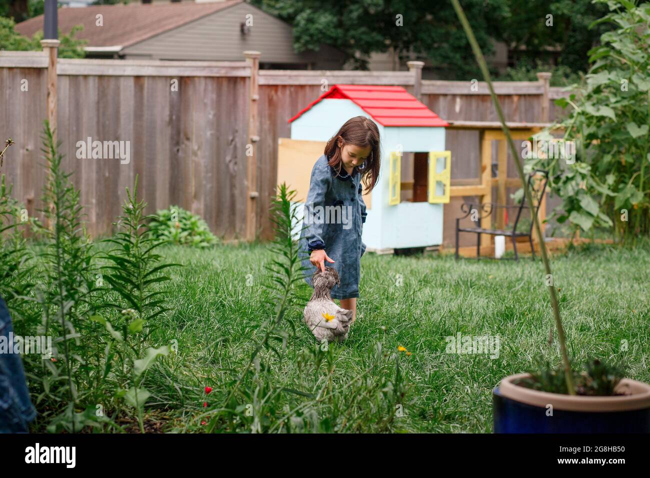 A little girl reaches down to pet chicken in backyard garden Stock Photo