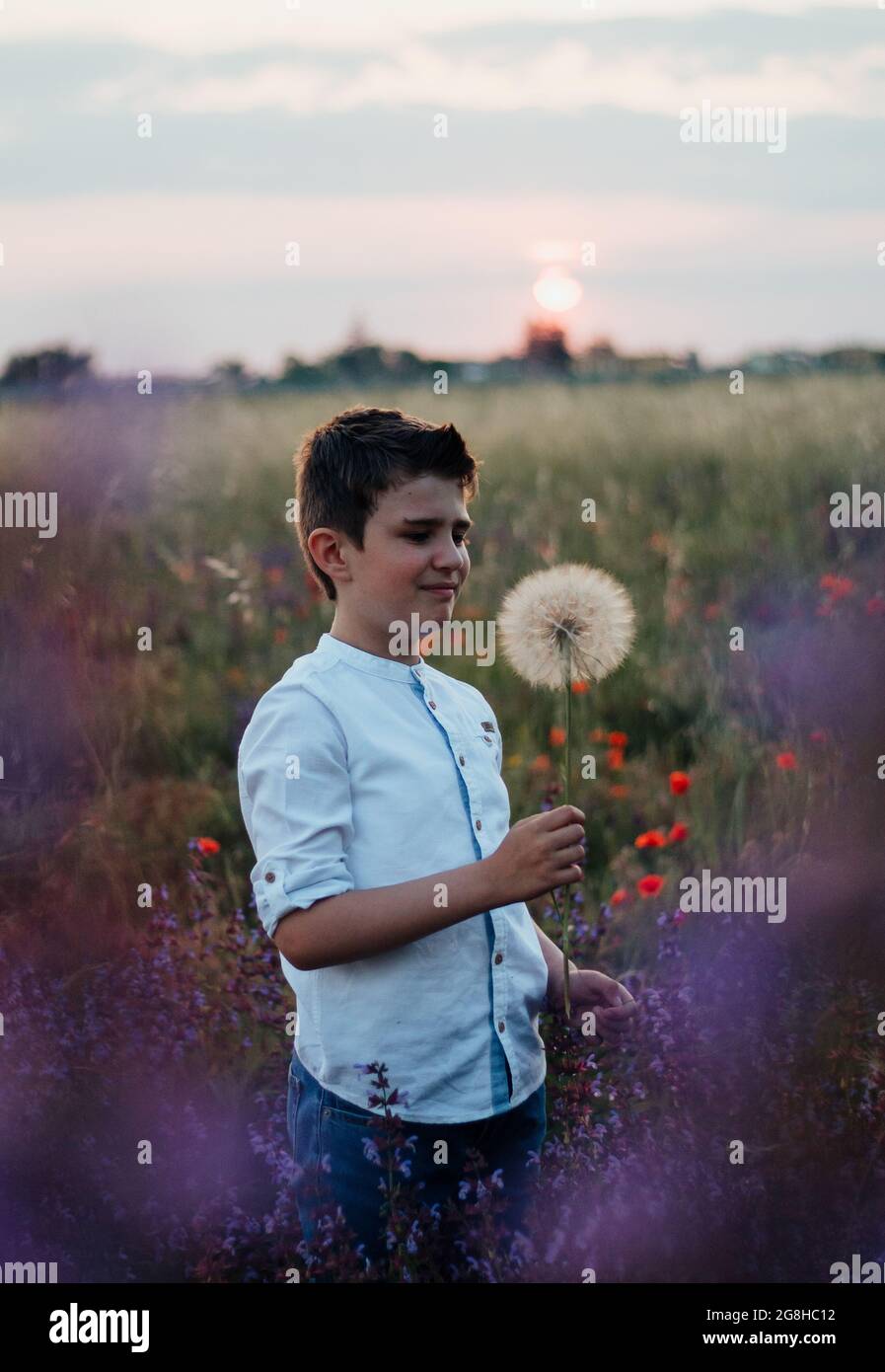 Boy plays with dandelion in the green field during sunset Stock Photo