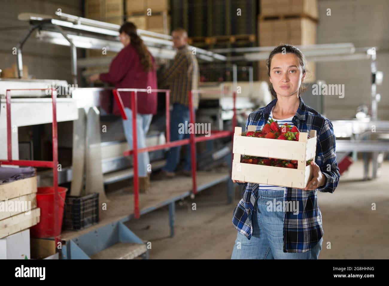 Hardworking woman farmer is standing in a warehouse, holding a crate of strawberries in her hands Stock Photo