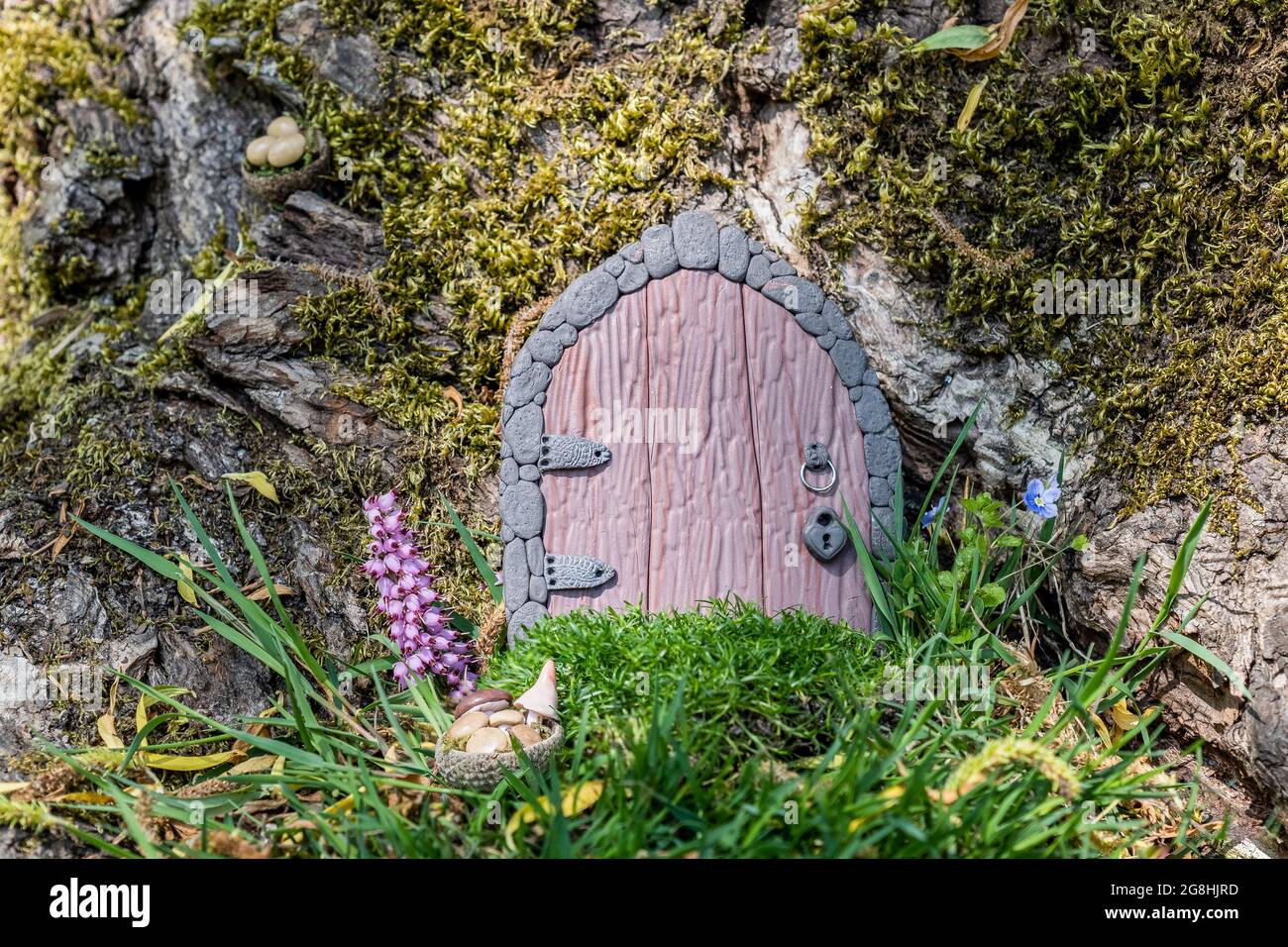 small doors and mushrooms in a basket made of polymer clay on a tree like a fairy house close up. Stock Photo
