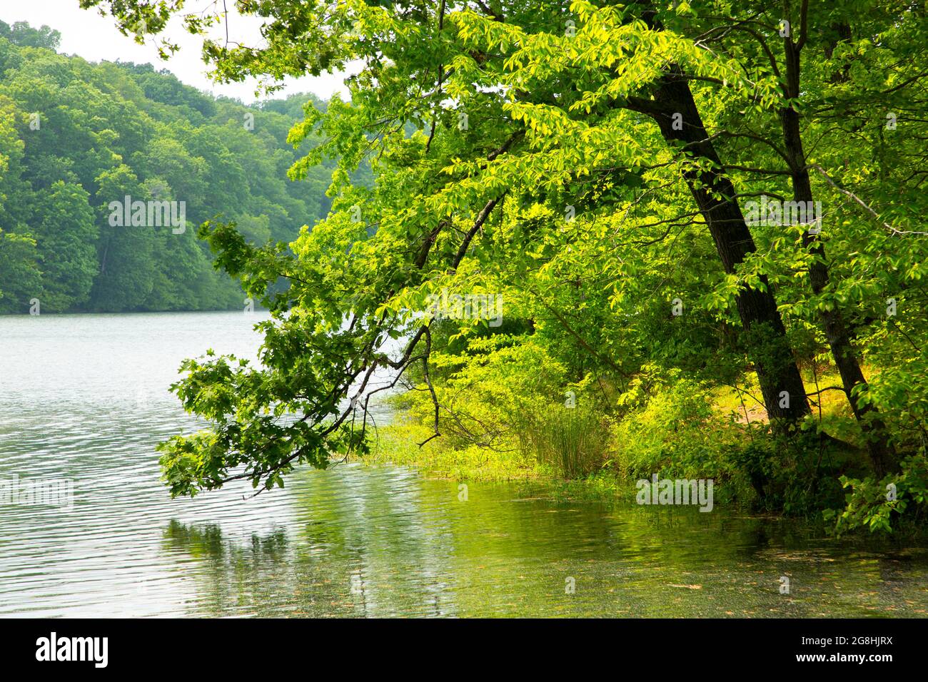 Yellowwood Lake, Yellowwood State Forest, Indiana Stock Photo Alamy
