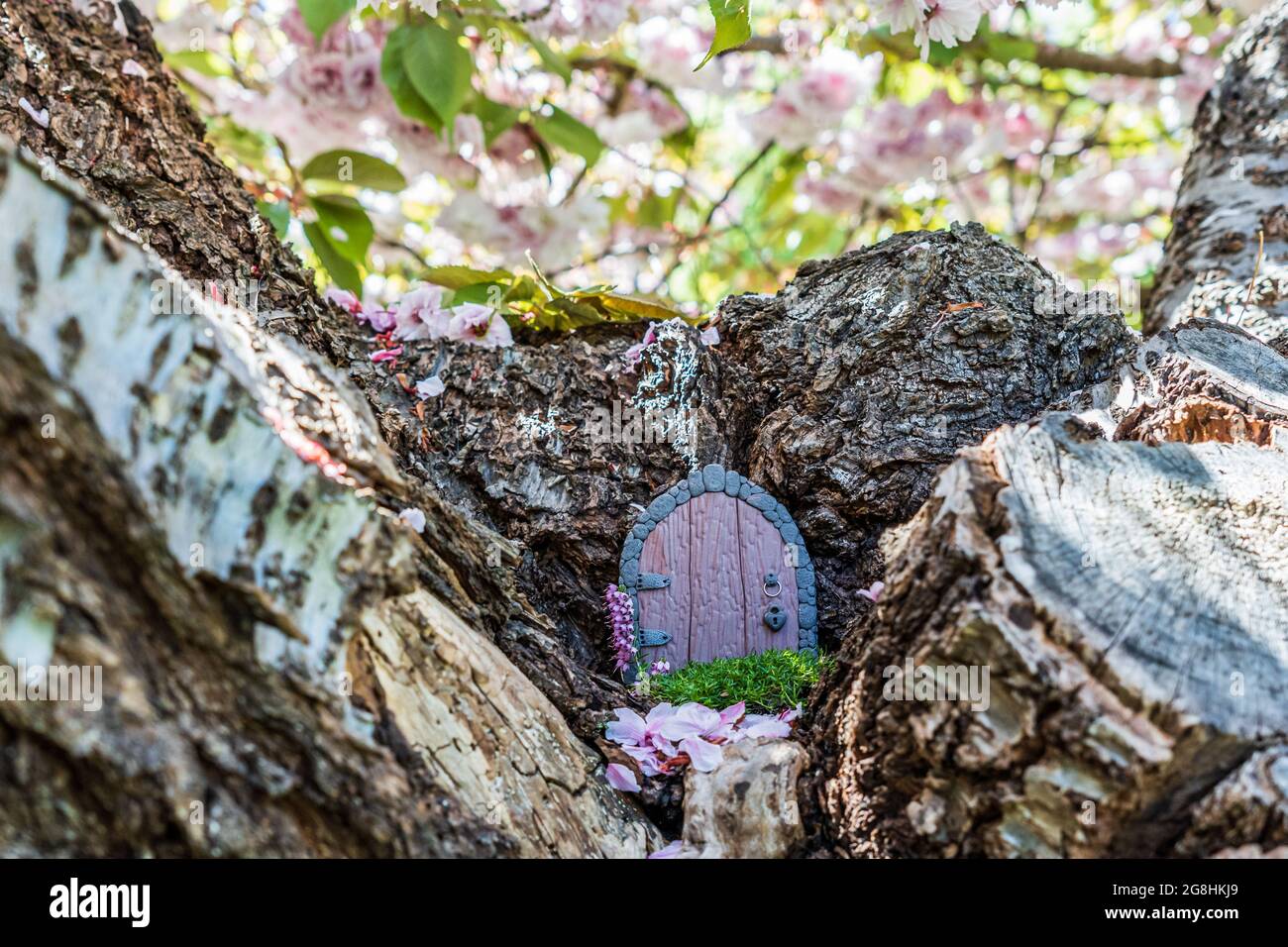 small doors made of polymer clay on a tree like a fairy house close up. Stock Photo