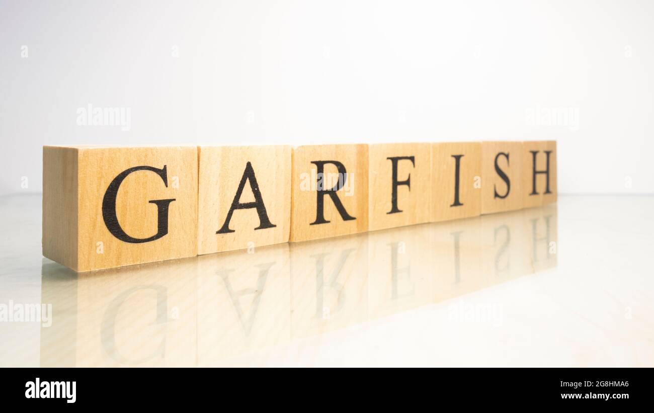 The word garfish was created from wooden letter cubes. Seafood and food. close up. Stock Photo