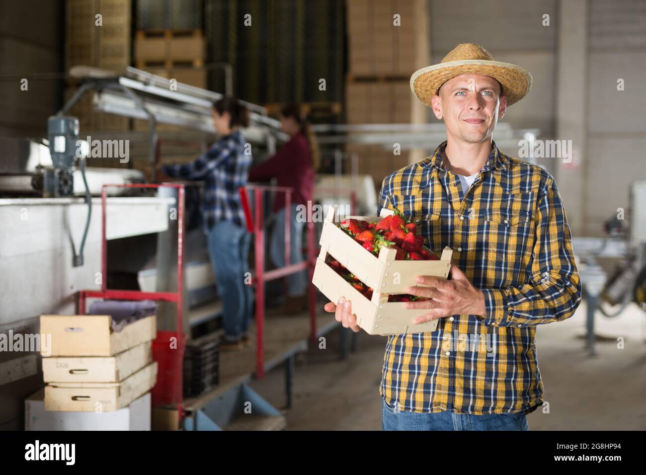 Young male farmer stands with a crate of ripe strawberries in a ...