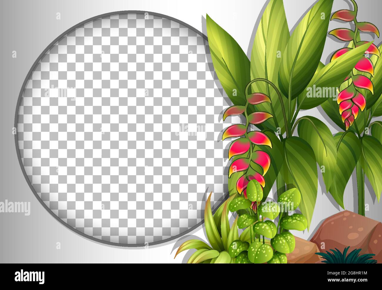 Round frame transparent with tropical flowers and leaves template ...