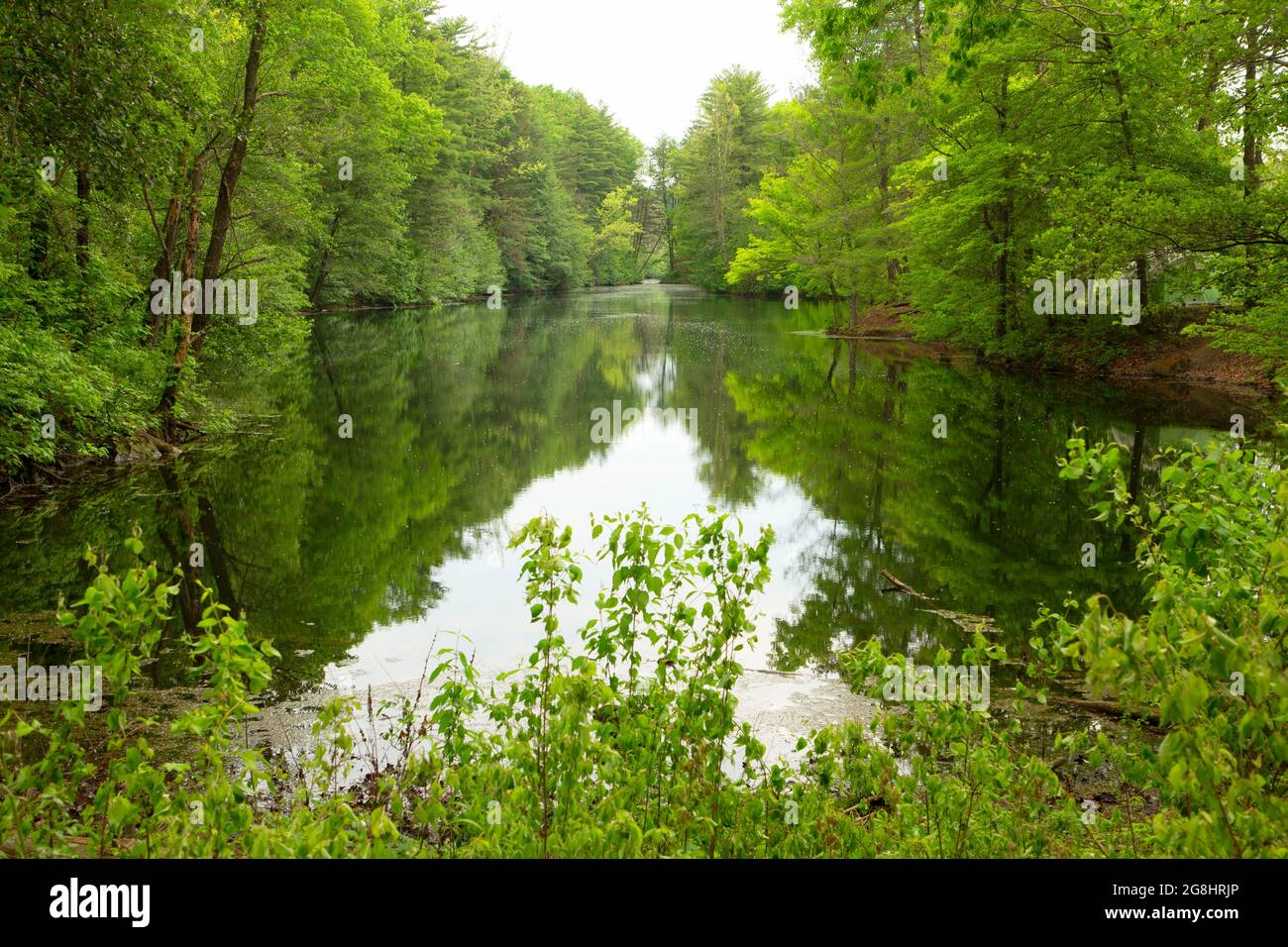 Wampler lake hires stock photography and images Alamy