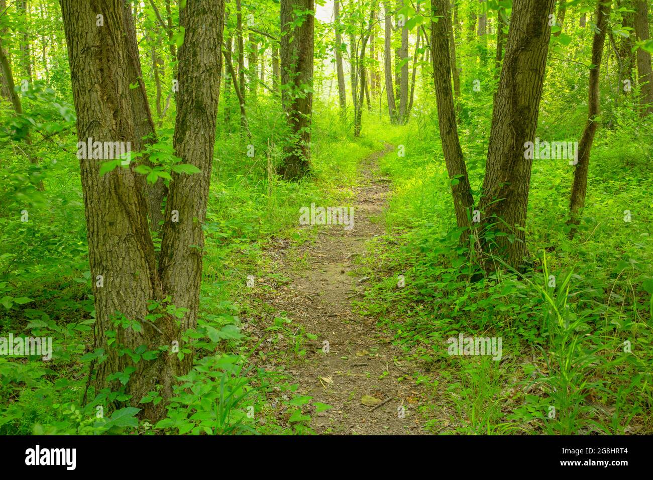 Maxey Marsh Nature Trail, Patoka River National Wildlife Refuge