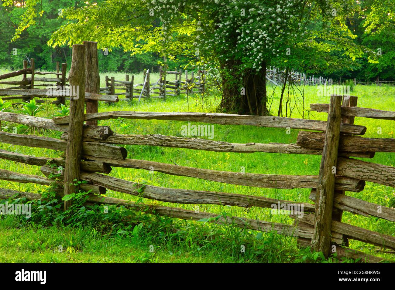 Lincoln Living Historical Farm fence, Lincoln Boyhood National Memorial