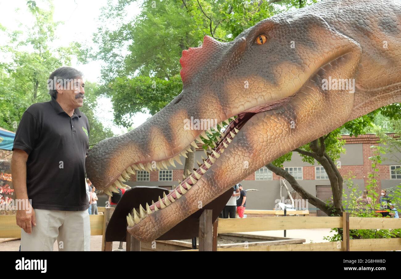 Leipzig, Germany. 20th July, 2021. Don Lessem, paleontologist and author, stands in front of a model of Spinosaurus at Leipzig Zoo. The life-size likeness is part of the exhibition 'The Gigantic Dino Adventure' on display there. Don Lessem also worked as a consultant for the film Jurassic Park. Credit: Sebastian Willnow/dpa-Zentralbild/dpa/Alamy Live News Stock Photo