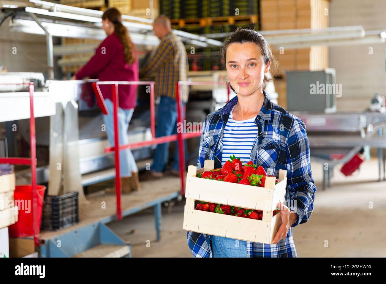 Hardworking woman farmer is standing in a warehouse, holding a crate of strawberries in her hands Stock Photo