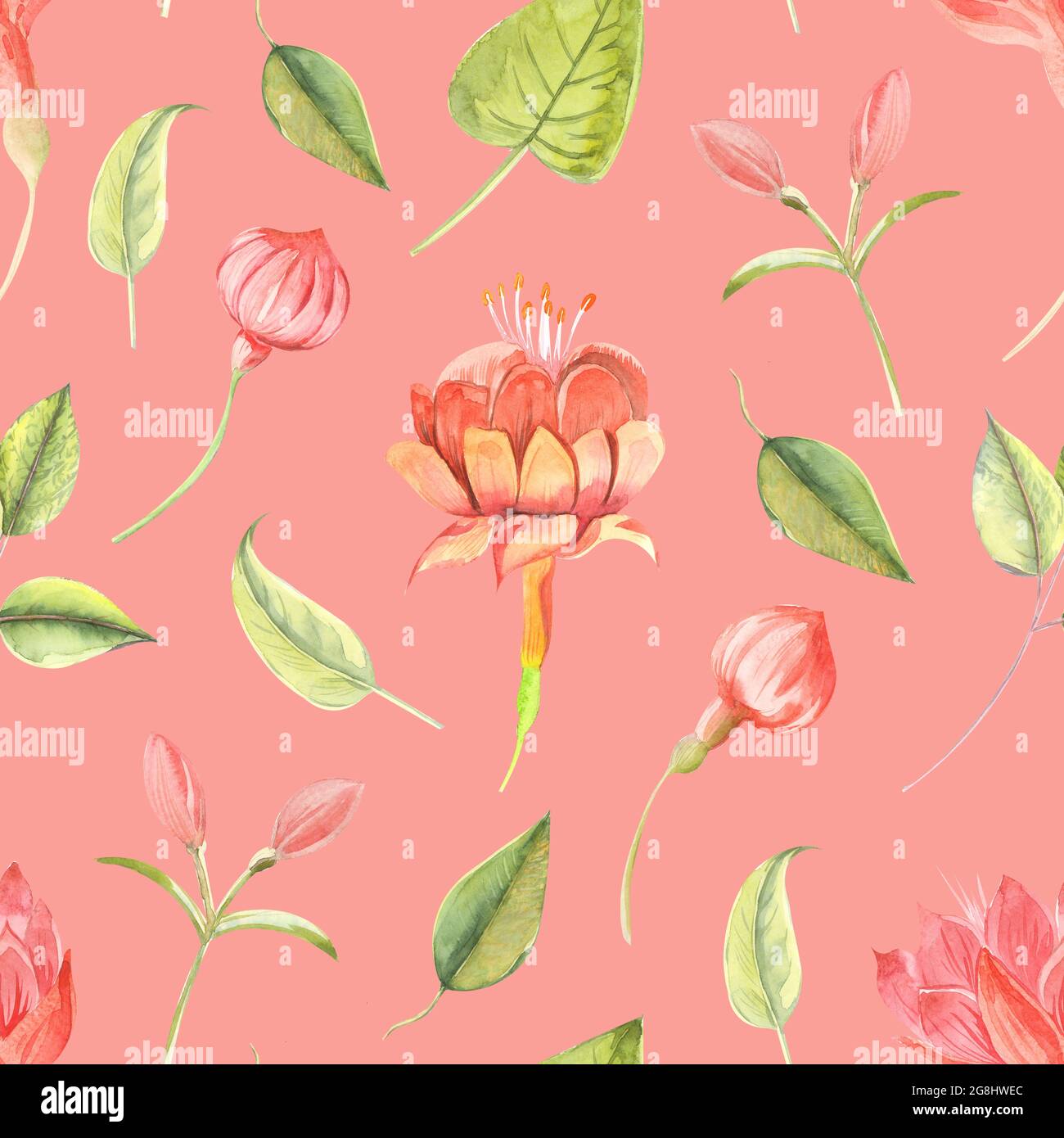 Seamless raster watercolor pattern with flowers fuchsia and leaves ...
