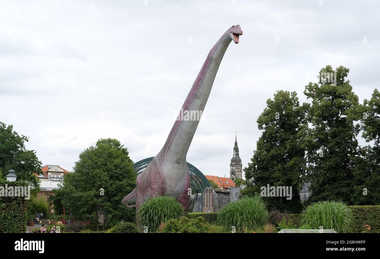 Leipzig, Germany. 20th July, 2021. A model of the Argentinosaurus is on display at Leipzig Zoo. The life-size image is part of the exhibition 'The gigantic dinosaur adventure', which is shown there. Don Lessem, palaeontologist and author, was curator of the exhibition and also worked as a consultant for the film Jurassic Park. Credit: Sebastian Willnow/dpa-Zentralbild/dpa/Alamy Live News Stock Photo