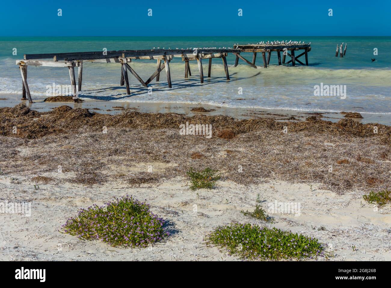 The abandoned jetty on the beach head of the Old Eucla Telegraphy Station along the Nullarbor coastline of Western Australia. Stock Photo