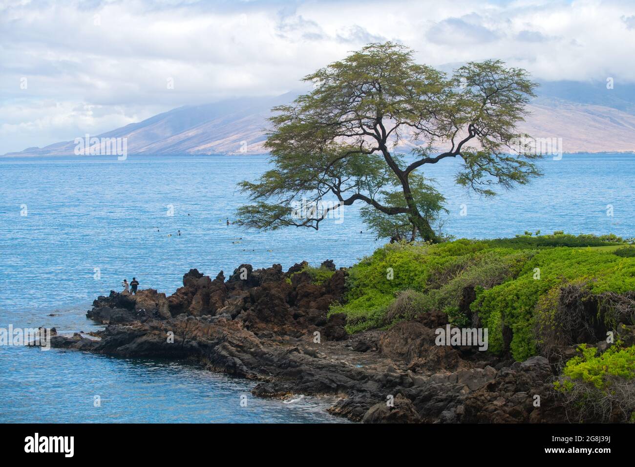 Hawaiian beach background. Enjoying paradise in Hawaii. Panorama tropical landscape of summer scenery with palm trees. Luxury travel vacation. Exotic Stock Photo