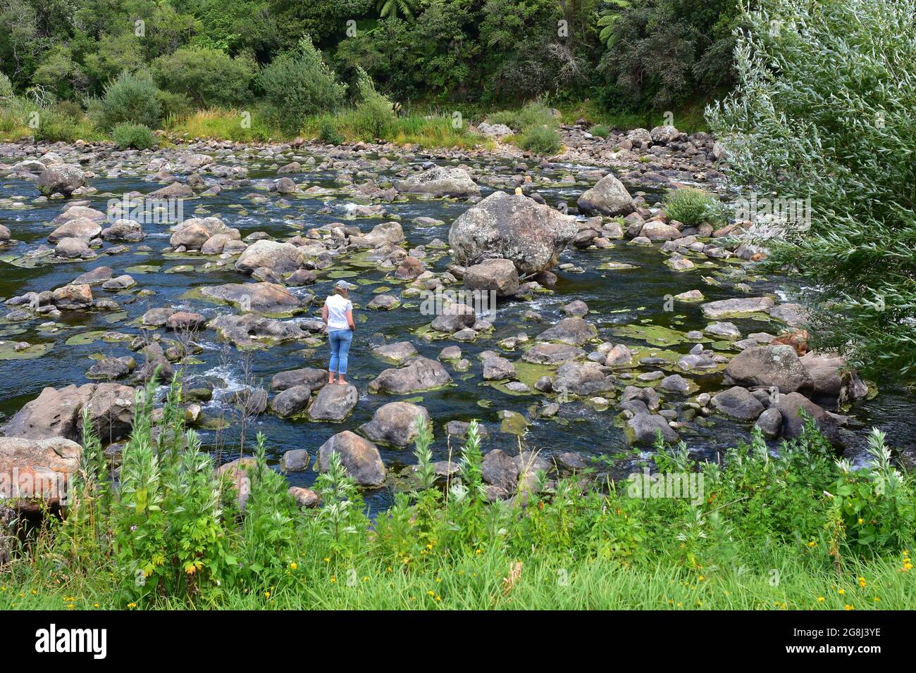 Female standing on one of many boulders in shallow river with a lot of algae growth. Stock Photo