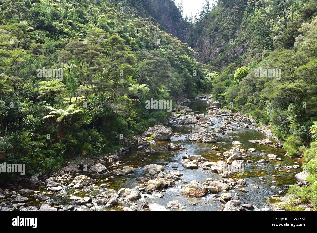 Waitawheta River with many boulders in shallows flowing through narrow gorge opening into valley with native bush. Stock Photo