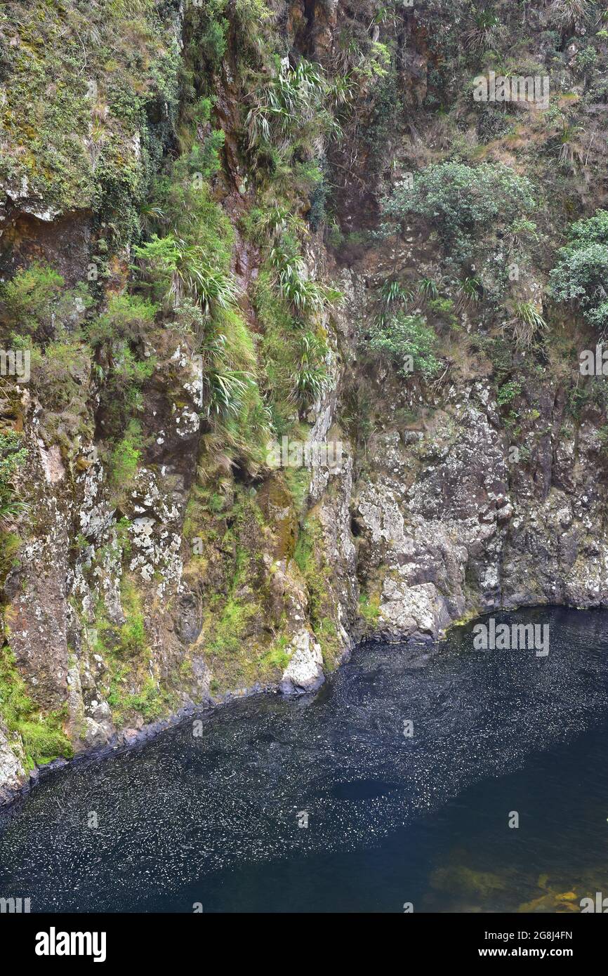 Very steep rock cliff with vegetation holding on almost vertical surfaces with calm deep river at bottom. Stock Photo
